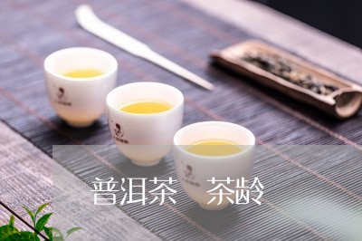 普洱茶 茶龄/2023042895096